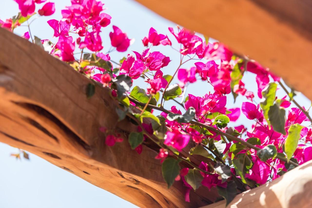 Valley Club Ibiza - Boutique Agroturismo Sant Joan De Labritja Eksteriør bilde