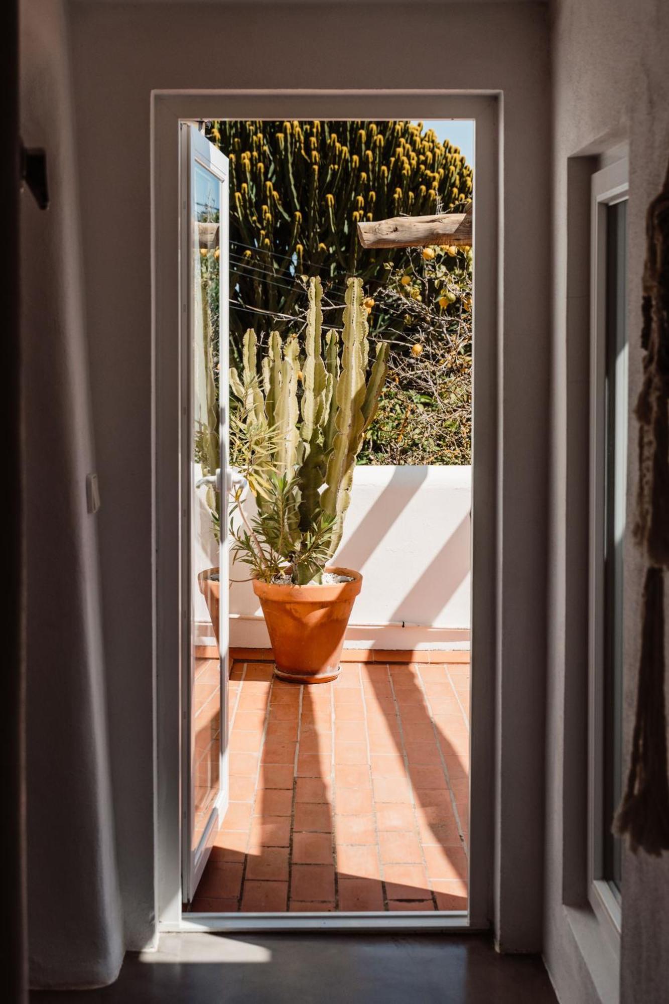 Valley Club Ibiza - Boutique Agroturismo Sant Joan De Labritja Rom bilde