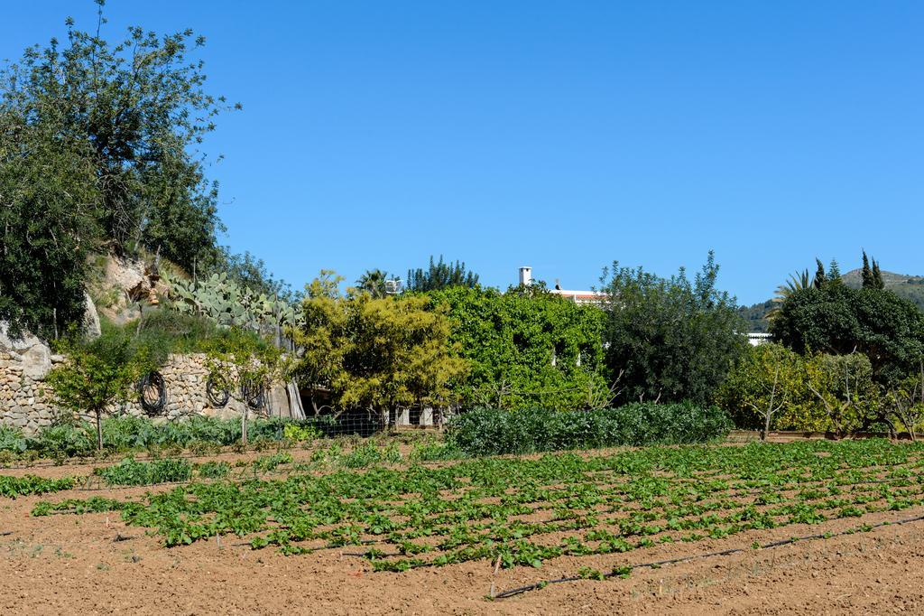 Valley Club Ibiza - Boutique Agroturismo Sant Joan De Labritja Eksteriør bilde